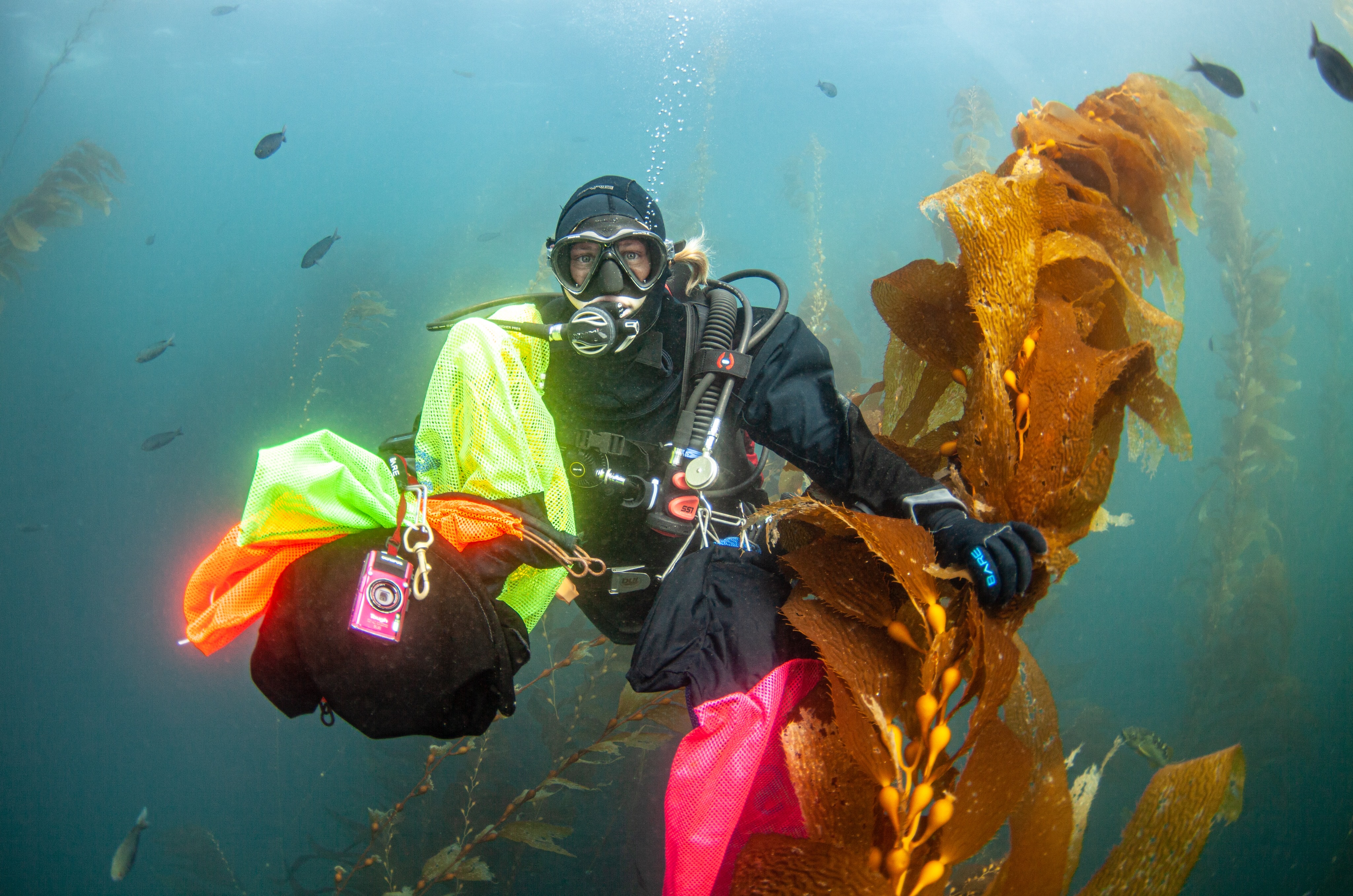 UCSB Students receive educational training at The REEF