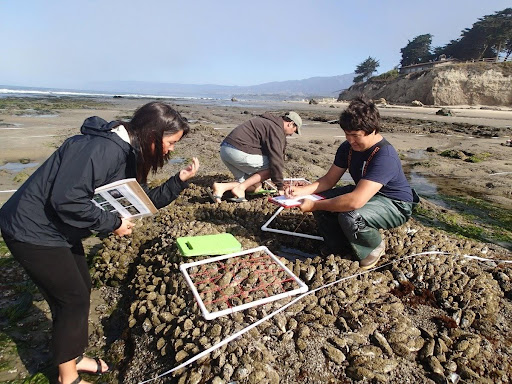Teachers in the field  with graduate students during an RET workshop