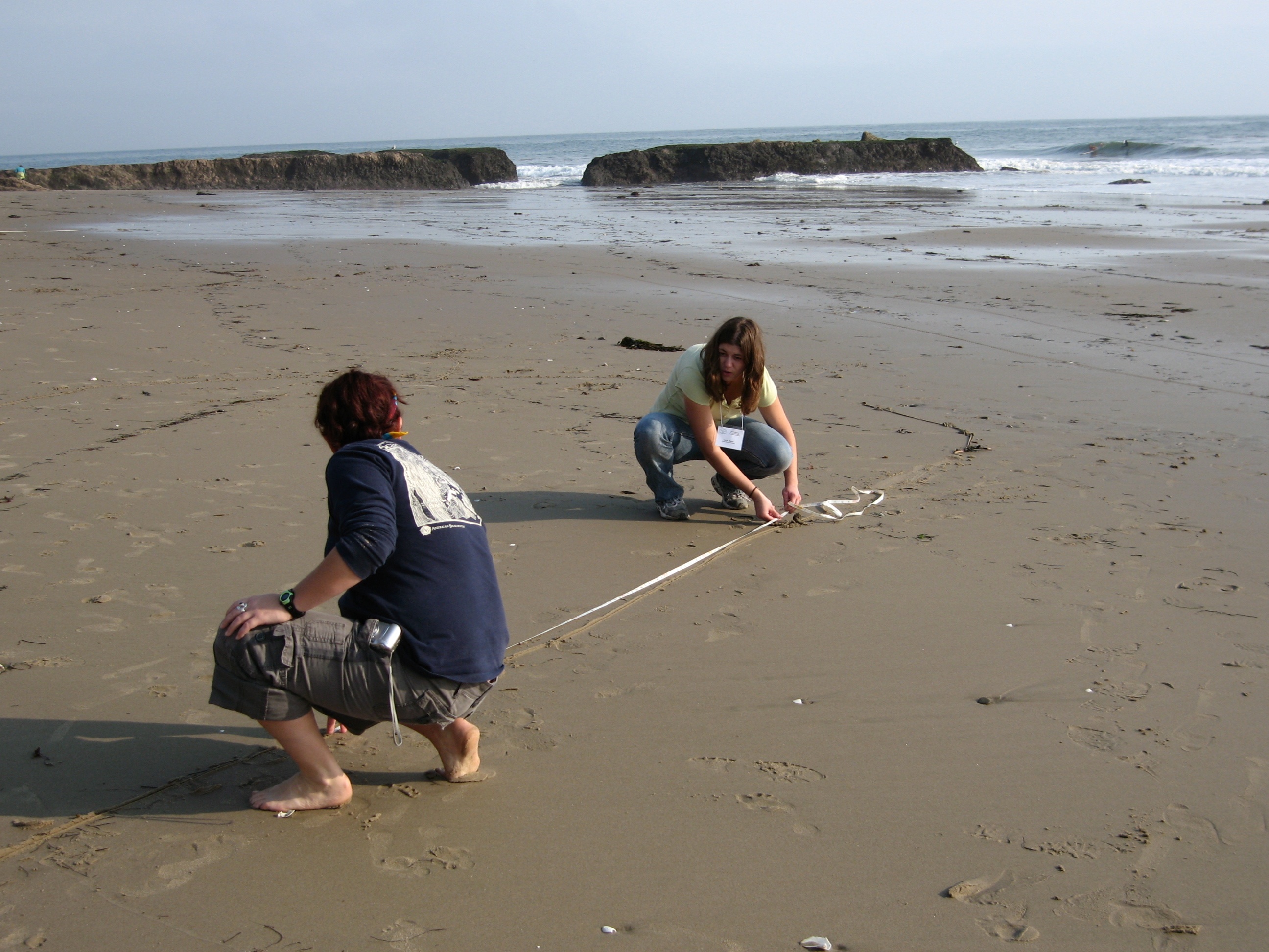 Students at a beach transect