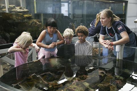 Undergraduate docents lead tours of The REEF