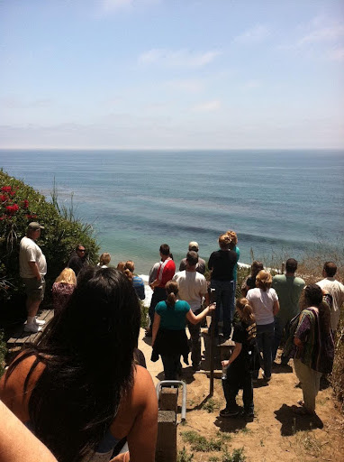 Teachers and SBC graduate students, overlooking the SBC LTER study site at Mohawk Reef