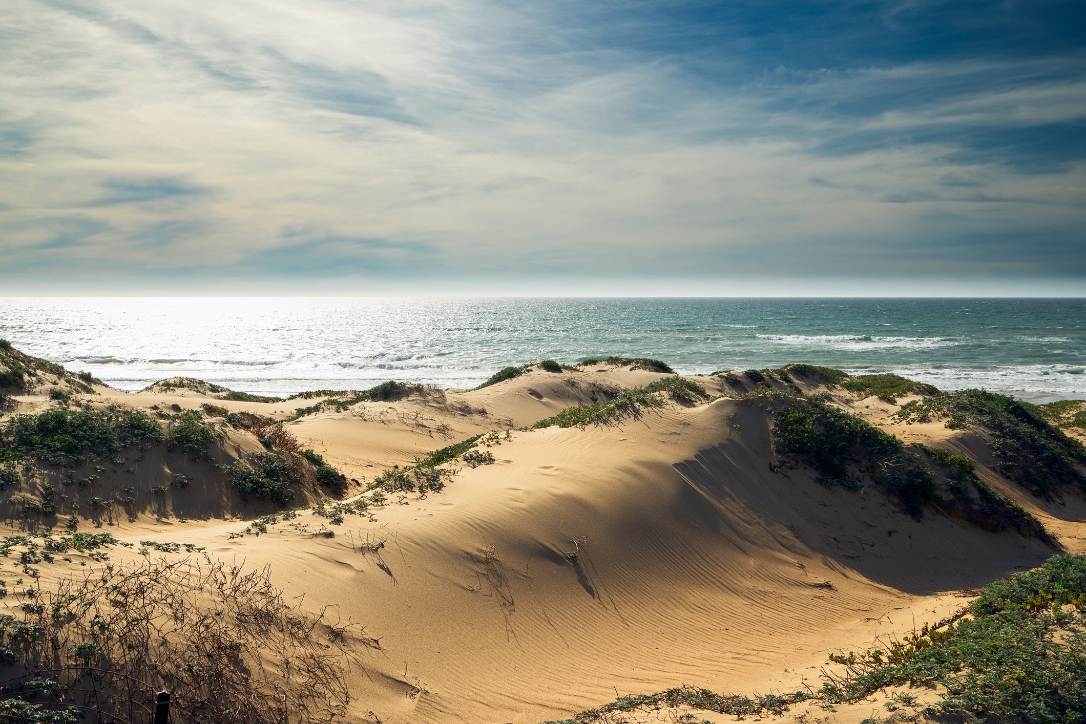 Thumbnail for California has lost more than half of its coastal sand dunes, first-ever comprehensive assessment reveals