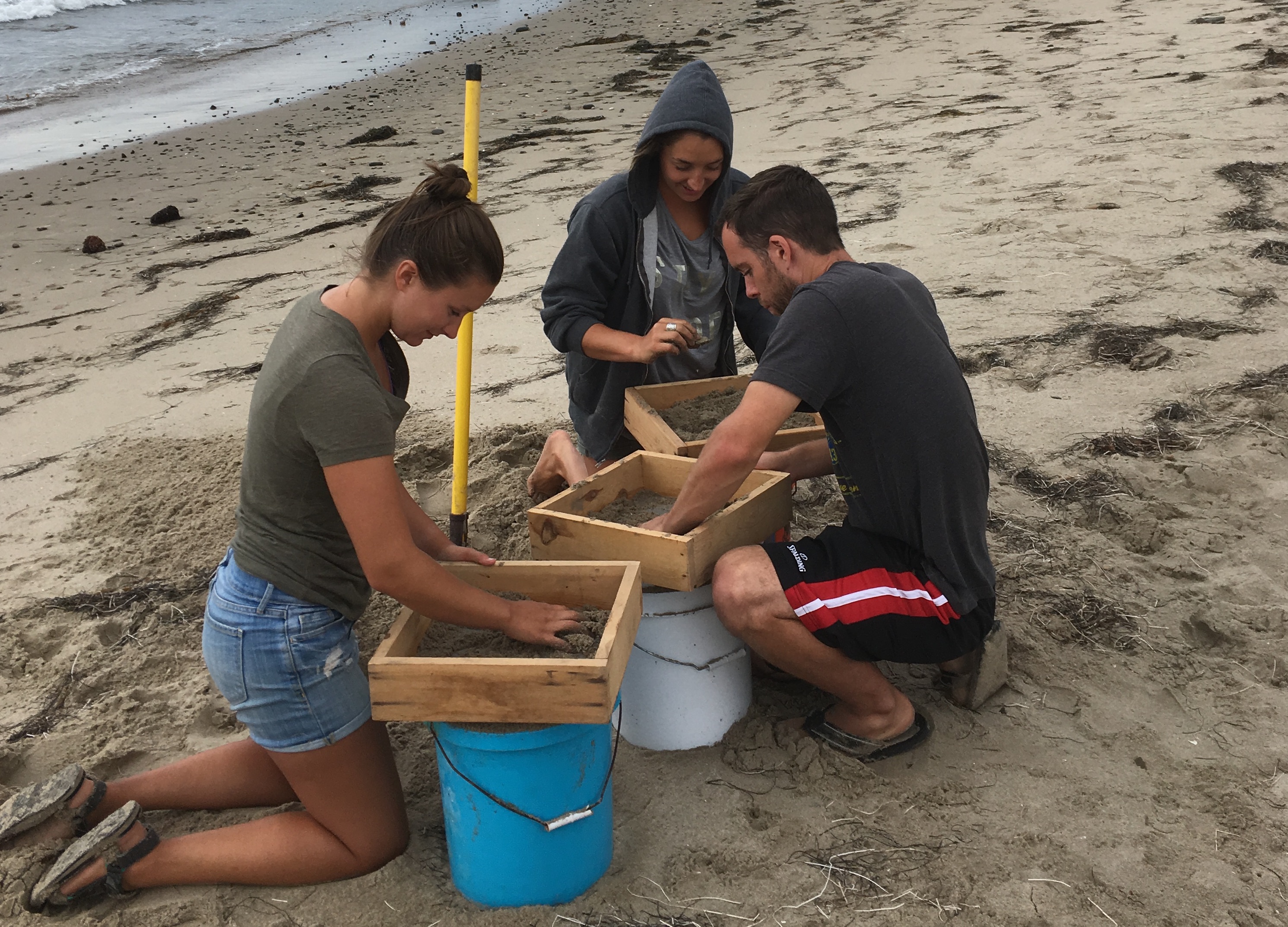 Students at a beach transect