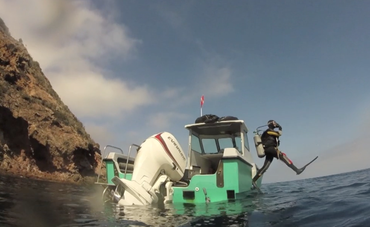 Divers at Santa Cruz Island