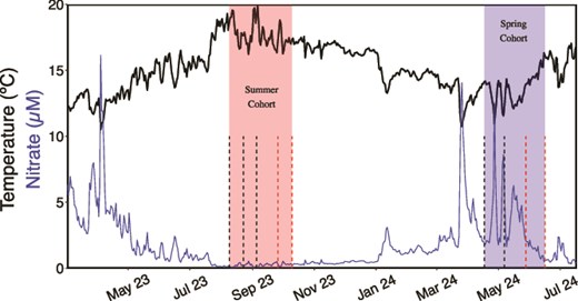 Figure from Seasonal and developmental stage changes in mucilage carbohydrate content shape the kelp microbiome