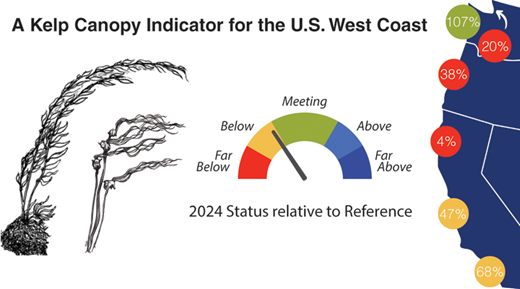 Figure from Developing a Status and Trends Assessment for Floating Kelp Canopies across Large Geographic Areas